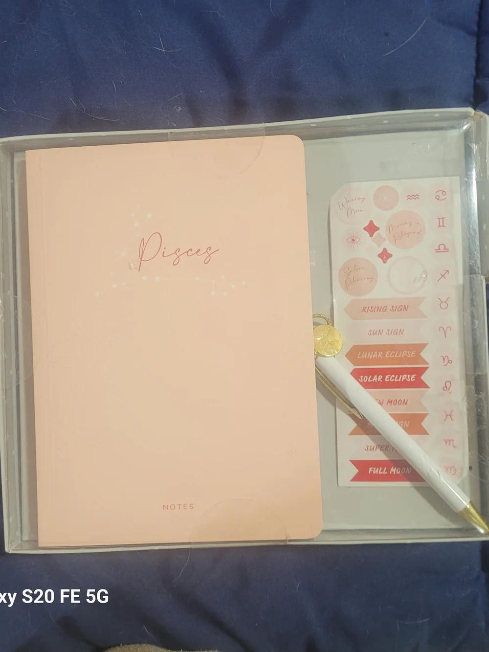 Pisces Pink Journal Set
